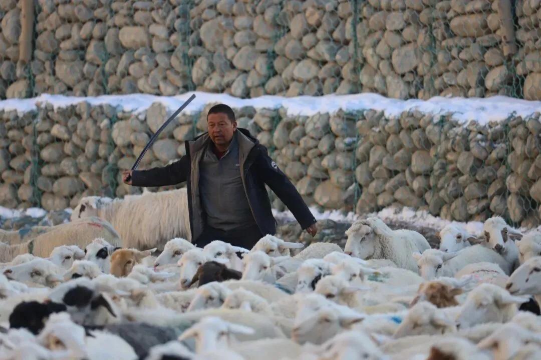 风雪牧道践初心 石榴花开筑同心！他们用“四赢”工作法绘就警民团结新画卷 